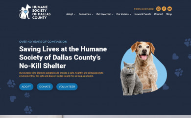hsdallascounty.org screenshot