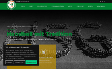 hsg-dm.de screenshot