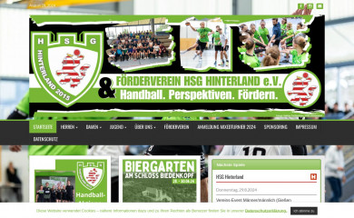 hsg-hinterland.de screenshot
