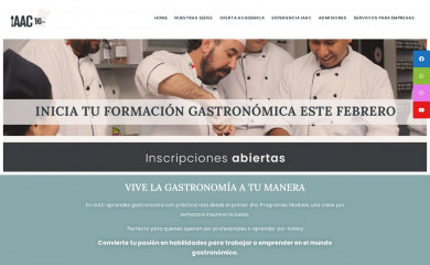 iaacmexico.com screenshot