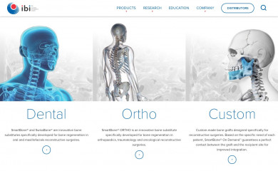 ibi-sa.com screenshot