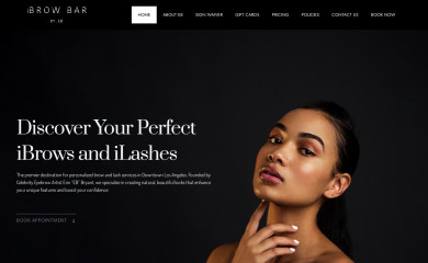 ibrowbar.com screenshot