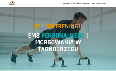 icekingstudio.pl screenshot