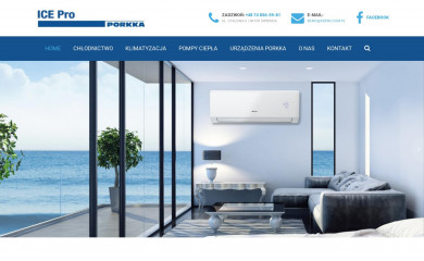 icepro.com.pl screenshot