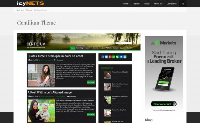 http://www.icynets.com/centilium-theme/ screenshot