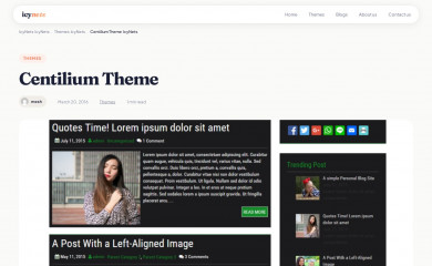 http://www.icynets.com/centilium-theme/ screenshot