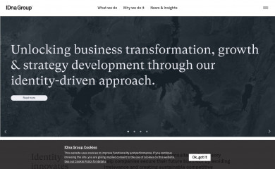 idnagroup.com screenshot