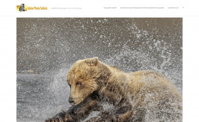 idubephotosafaris.com screenshot