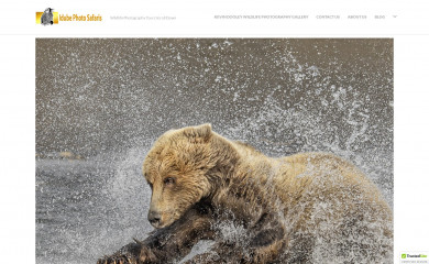 idubephotosafaris.com screenshot