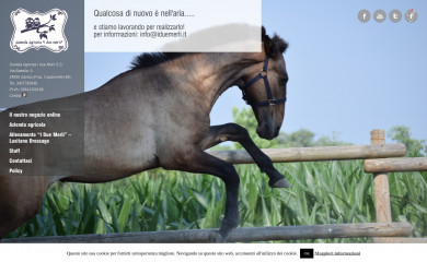 iduemerli.it screenshot