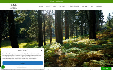 idyllwildcalifornia.com screenshot