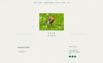 iein.lt screenshot