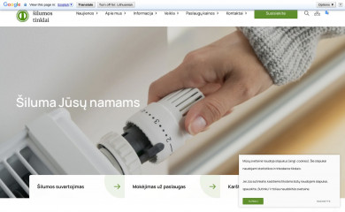 igst.lt screenshot