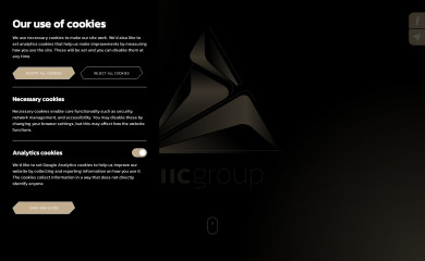 iicgroup.nl screenshot