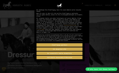 ilonamajor.hu screenshot