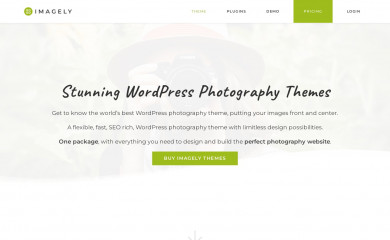 https://www.imagely.com/wordpress-photography-themes/beckstead screenshot