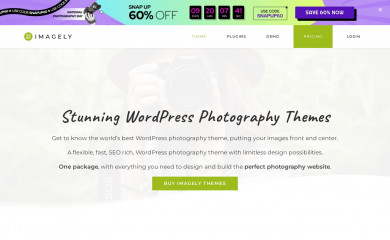 https://www.imagely.com/wordpress-photography-themes/sidewinder screenshot
