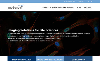 imagene-it.se screenshot
