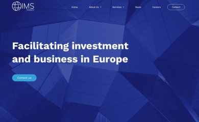 imscons.com screenshot