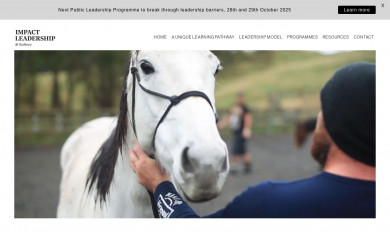 impactlead.co.nz screenshot