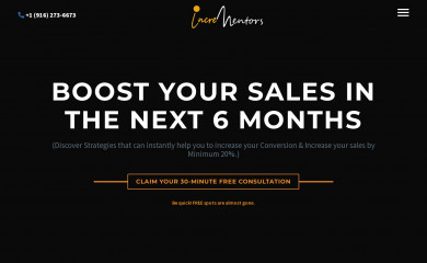 incrementors.com screenshot