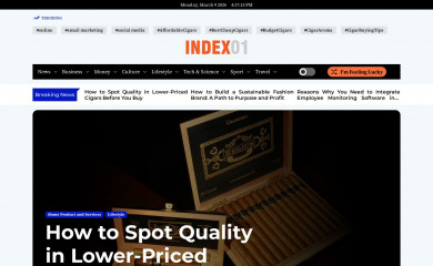 index-01.com screenshot