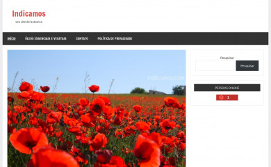 indicamos.com screenshot