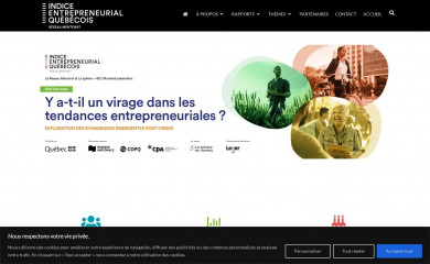 indiceentrepreneurialqc.com screenshot