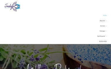 indigowellnessat.com screenshot