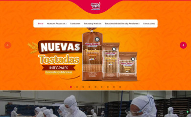 industriasantaclara.co screenshot