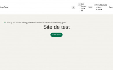 info-gate.fr screenshot