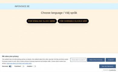 infovoice.se screenshot