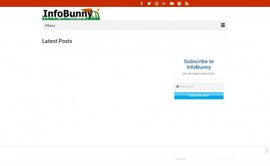 infobunny.com screenshot