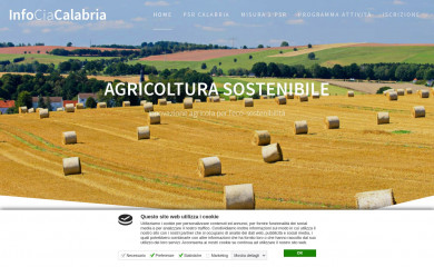 infociacalabria.it screenshot