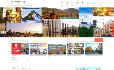 infodich.com screenshot