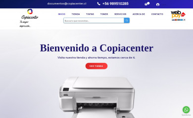 infomontt.cl screenshot