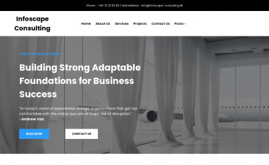 infoscape-consulting.dk screenshot