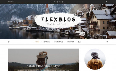 http://infinitythemes.ge/flex-blog/ screenshot