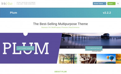 Plum Plus screenshot