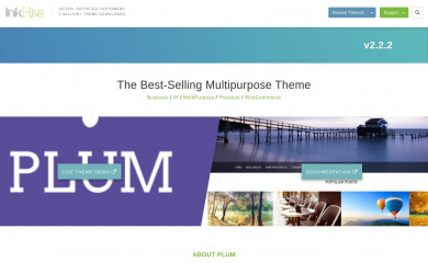 Plum Plus screenshot