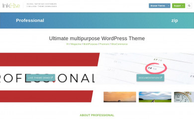 Professional screenshot