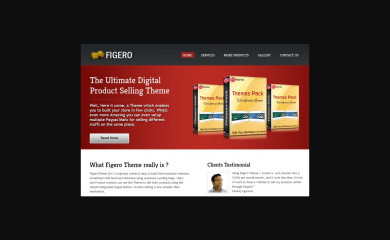 Figero  Pro Responsive Theme screenshot