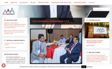 insolvencyandbankruptcy.in screenshot