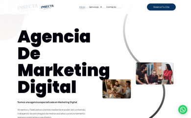 insectadigital.com screenshot