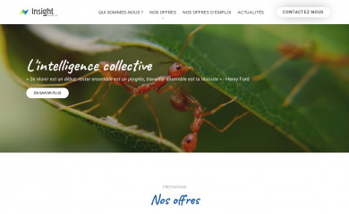 insight-conseils.com screenshot