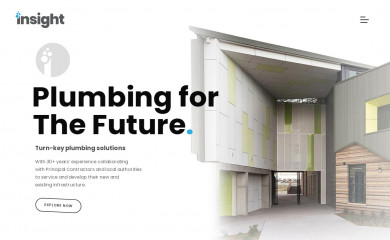 insightplumbing.com.au screenshot