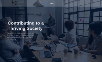 insightsociety.org screenshot