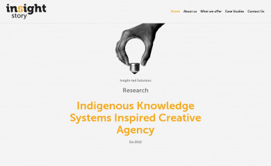 insightstory.co.za screenshot