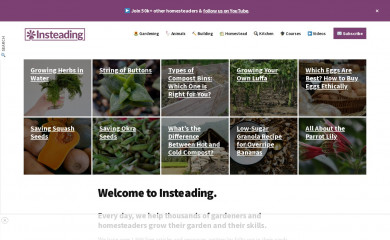 insteading.com screenshot