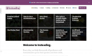 insteading.com screenshot